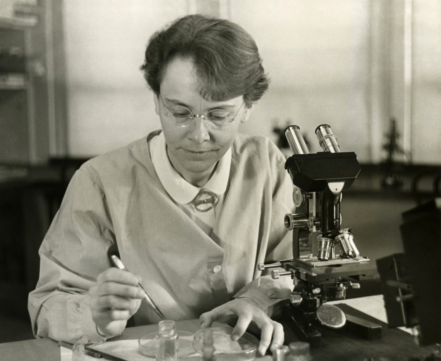 Barbara McClintock (1902-1992), Department of Genetics, Carnegie Institution at Cold Spring Harbor, New York, shown in her laboratory. Source: The Smithsonian