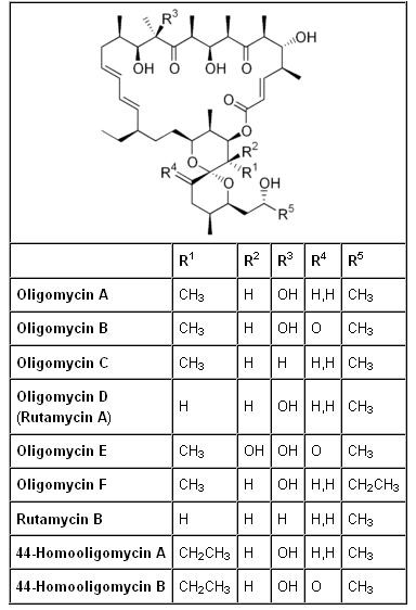 Structures of the oligomycins
