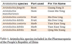 aristolochia species origin & name