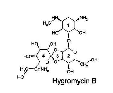 hygromycin b chemical structure