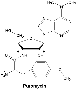 puromycin chemical structure